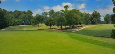 Freshly Cleared, Flat, and Ready for Your Vision! Imagine  a on Rayburn Country Club in Texas - for sale on GolfHomes.com, golf home, golf lot