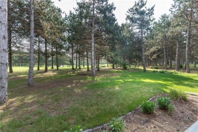 This 2018 Custom built 3B2B home with fountain views on the on Thumper Pond Golf Course in Minnesota - for sale on GolfHomes.com, golf home, golf lot
