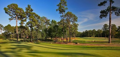 Freshly Cleared, Flat, and Ready for Your Vision! Imagine  a on Rayburn Country Club in Texas - for sale on GolfHomes.com, golf home, golf lot