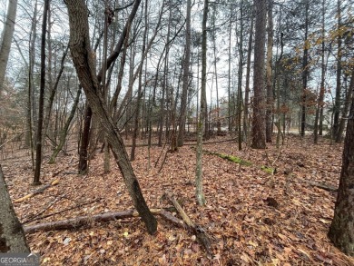 Lot 850 is a corner lot, on the 9th hole of the beautiful on The Trail At Chickasaw Pointe in South Carolina - for sale on GolfHomes.com, golf home, golf lot