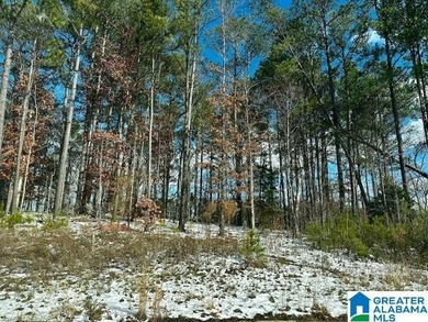 Build your custom dream home on the 16th hole of Ross Bridge - a on Ross Bridge Golf Resort in Alabama - for sale on GolfHomes.com, golf home, golf lot