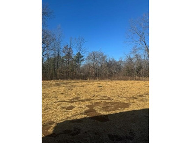 Bella Vista beauty showcasing modern architecture, upgraded on Branchwood Golf Course in Arkansas - for sale on GolfHomes.com, golf home, golf lot