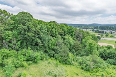Rare opportunity! This 3 bed, 2 bath fixer-upper sits on over 2 on Baraboo Country Club in Wisconsin - for sale on GolfHomes.com, golf home, golf lot