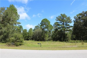 Build your dream home now or start planning your retirement in on Sapelo Hammock Golf Club in Georgia - for sale on GolfHomes.com, golf home, golf lot