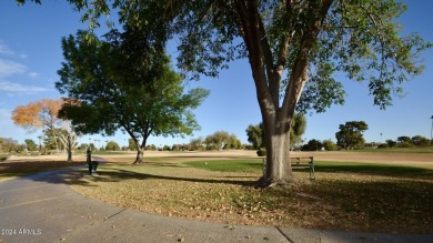 Spectacular views of the 18th fairway of the golf course on Sun City-Willow Creek / Willow Brook  in Arizona - for sale on GolfHomes.com, golf home, golf lot