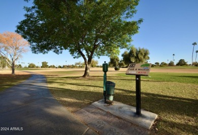 Spectacular views of the 18th fairway of the golf course on Sun City-Willow Creek / Willow Brook  in Arizona - for sale on GolfHomes.com, golf home, golf lot