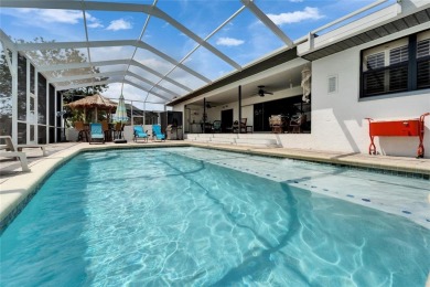743 Kingston Court, Apollo Beach, FL

Enjoy true Florida living on Apollo Beach Golf and Sea Club in Florida - for sale on GolfHomes.com, golf home, golf lot