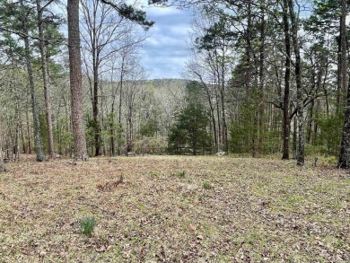 Well maintained home on a quiet, dead-end street in the Mountain on Mountain Ranch Golf Club in Arkansas - for sale on GolfHomes.com, golf home, golf lot