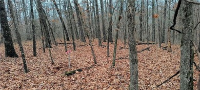 This is a great slightly sloped, very buildable wide rhomboidal on Bella Vista - Metfield Golf Complex and Country Club in Arkansas - for sale on GolfHomes.com, golf home, golf lot