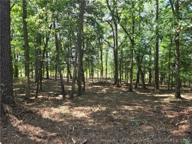 A Gorgeous Lot with an Absolutely Stunning View!  Recently on Woodlake Country Club in North Carolina - for sale on GolfHomes.com, golf home, golf lot