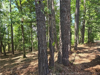 A Gorgeous Lot with an Absolutely Stunning View!  Recently on Woodlake Country Club in North Carolina - for sale on GolfHomes.com, golf home, golf lot