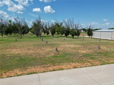 Experience luxury living at The Landings Airpark near Granbury on Pecan Plantation Country Club in Texas - for sale on GolfHomes.com, golf home, golf lot