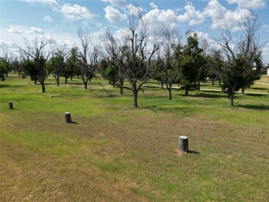 Experience luxury living at The Landings Airpark near Granbury on Pecan Plantation Country Club in Texas - for sale on GolfHomes.com, golf home, golf lot
