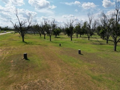 Experience luxury living at The Landings Airpark near Granbury on Pecan Plantation Country Club in Texas - for sale on GolfHomes.com, golf home, golf lot