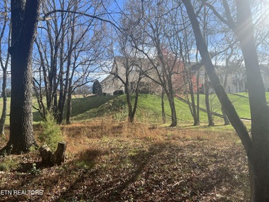 2 LOTS IN RARITY BAY!!! 230 & 220 Morning Dove Drive for one on Rarity Bay Country Club - Loudon in Tennessee - for sale on GolfHomes.com, golf home, golf lot