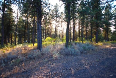 Discover the perfect canvas for your dream home on this pristine on Meadowcreek Golf Resort in Idaho - for sale on GolfHomes.com, golf home, golf lot