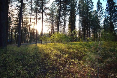 Discover the perfect canvas for your dream home on this pristine on Meadowcreek Golf Resort in Idaho - for sale on GolfHomes.com, golf home, golf lot