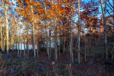 Unmissable Lake Views! Imagine building your dream home on this on Deer Creek Golf Club in Tennessee - for sale on GolfHomes.com, golf home, golf lot