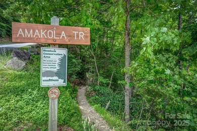 This great lot in Connestee Falls offers easy building on a on Connestee Falls Golf Club in North Carolina - for sale on GolfHomes.com, golf home, golf lot