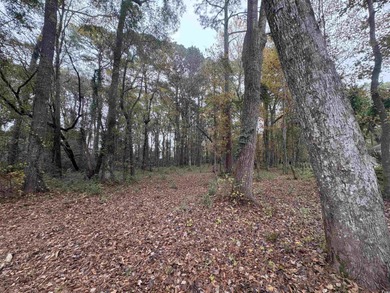 Come get one of the last XL lots in Pawleys Plantation in an X on Pawleys Plantation Golf and Country Club in South Carolina - for sale on GolfHomes.com, golf home, golf lot