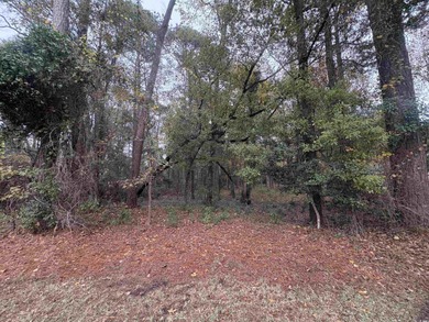 Come get one of the last XL lots in Pawleys Plantation in an X on Pawleys Plantation Golf and Country Club in South Carolina - for sale on GolfHomes.com, golf home, golf lot