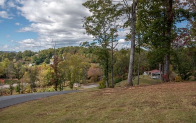 REDUCED!! Gorgeous lot with BIG Lake Chatuge and long range on Mountain Harbour Golf Club in North Carolina - for sale on GolfHomes.com, golf home, golf lot