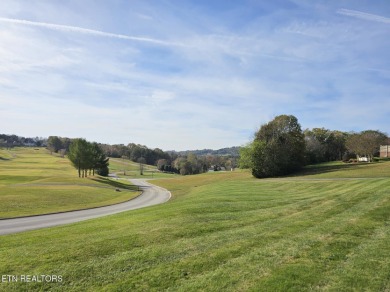 Be ready to be wowed in this stunning Rarity Bay community! Here on Rarity Bay Country Club - Loudon in Tennessee - for sale on GolfHomes.com, golf home, golf lot