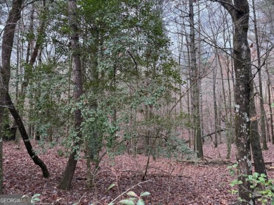 Beautiful and nice-laying lot located in the upscale community on White Path Golf Club in Georgia - for sale on GolfHomes.com, golf home, golf lot