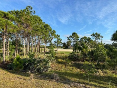 Located in the gated golf community of Tesoro, this keystone on The Tesoro Golf Course and Club in Florida - for sale on GolfHomes.com, golf home, golf lot
