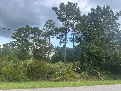 Welcome to Wedgefield, FL! This vacant lot is located in the on Wedgefield Golf Club in Florida - for sale on GolfHomes.com, golf home, golf lot