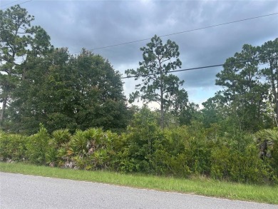 Welcome to Wedgefield, FL! This vacant lot is located in the on Wedgefield Golf Club in Florida - for sale on GolfHomes.com, golf home, golf lot