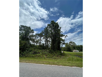 Welcome to Wedgefield, FL! This vacant lot is located in the on Wedgefield Golf Club in Florida - for sale on GolfHomes.com, golf home, golf lot