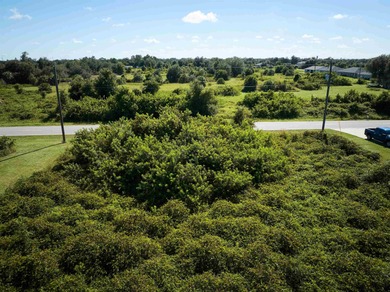 Build your dream home in the desirable Harbor Heights on Deep Creek Golf Club in Florida - for sale on GolfHomes.com, golf home, golf lot