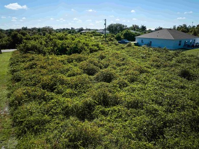 Build your dream home in the desirable Harbor Heights on Deep Creek Golf Club in Florida - for sale on GolfHomes.com, golf home, golf lot