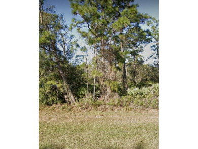 Build Your Dream Home on 1.22 Acre in the Sought-After on Wedgefield Golf Club in Florida - for sale on GolfHomes.com, golf home, golf lot