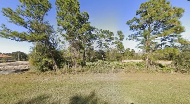 Build Your Dream Home on 1.22 Acre in the Sought-After on Wedgefield Golf Club in Florida - for sale on GolfHomes.com, golf home, golf lot