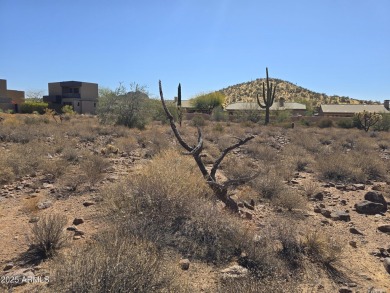 Flag lot with opportunity to create an estate setting for your on Superstition Mountain Club - Lost Gold in Arizona - for sale on GolfHomes.com, golf home, golf lot
