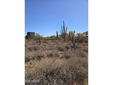 Flag lot with opportunity to create an estate setting for your on Superstition Mountain Club - Lost Gold in Arizona - for sale on GolfHomes.com, golf home, golf lot