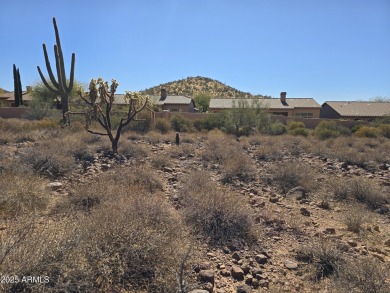 Flag lot with opportunity to create an estate setting for your on Superstition Mountain Club - Lost Gold in Arizona - for sale on GolfHomes.com, golf home, golf lot