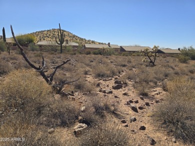 Flag lot with opportunity to create an estate setting for your on Superstition Mountain Club - Lost Gold in Arizona - for sale on GolfHomes.com, golf home, golf lot