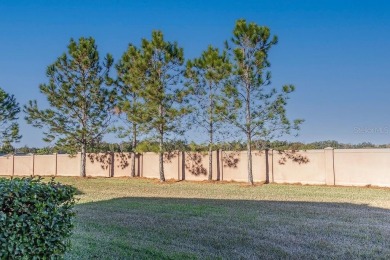 Welcome home to the beautiful northwest Ocala community of Ocala on Trilogy at Ocala Preserve in Florida - for sale on GolfHomes.com, golf home, golf lot