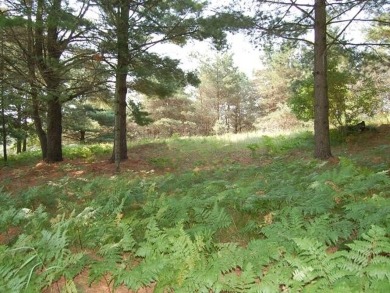 Peaceful and secluded setting on Tullymore Lake! This walkout on Tullymore Golf Club in Michigan - for sale on GolfHomes.com, golf home, golf lot