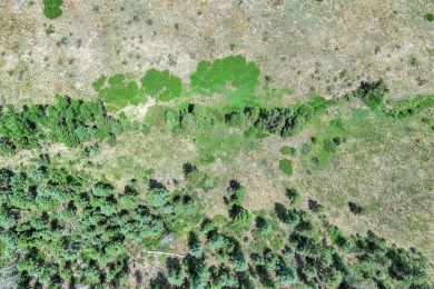 With mostly pines, aspens and rock outcroppings, this property on Fox Acres Country Club in Colorado - for sale on GolfHomes.com, golf home, golf lot