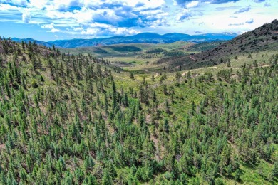 With mostly pines, aspens and rock outcroppings, this property on Fox Acres Country Club in Colorado - for sale on GolfHomes.com, golf home, golf lot