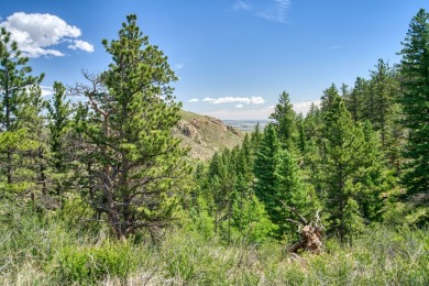 With mostly pines, aspens and rock outcroppings, this property on Fox Acres Country Club in Colorado - for sale on GolfHomes.com, golf home, golf lot