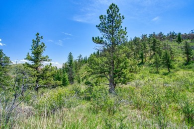 With mostly pines, aspens and rock outcroppings, this property on Fox Acres Country Club in Colorado - for sale on GolfHomes.com, golf home, golf lot