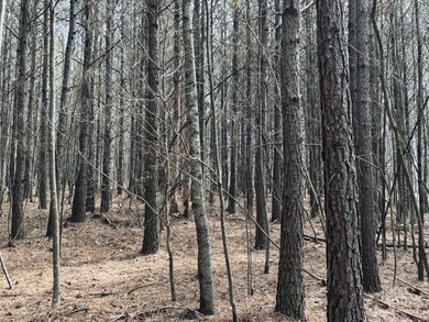 Welcome to JF-312, at Crockett Point, in The Farms of Jasper on Sequatchie Valley Golf and Country Club in Tennessee - for sale on GolfHomes.com, golf home, golf lot