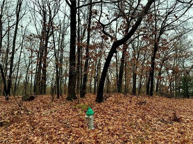 Build your dream home on this beautiful, mostly flat lot in the on Bella Vista - Metfield Golf Complex and Country Club in Arkansas - for sale on GolfHomes.com, golf home, golf lot