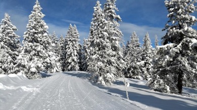Prime Homesite in Jug Mountain Ranch. Tucked at the end of a on Jug Mountain Ranch Golf Course in Idaho - for sale on GolfHomes.com, golf home, golf lot