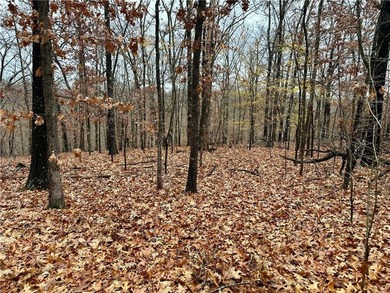 Build your dream home on this beautiful, mostly flat lot in the on Bella Vista - Metfield Golf Complex and Country Club in Arkansas - for sale on GolfHomes.com, golf home, golf lot